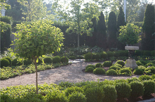 title:A garden sculpture was placed in axis with the dining room windows. Beds of Ivy are lined with small boxwoods. Sweetgum trees, Hydrangea paniculata, and Thujas also found a home in the section of the garden.