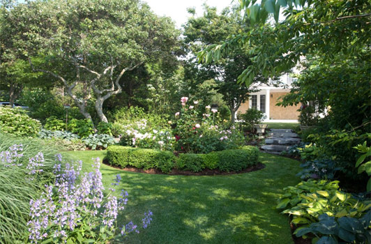 title:The rose garden serves as a transition garden room between the main house and the guest house seen here. Varied cultivars, including heirloom roses, are featured in this boxwood trimmed planting.