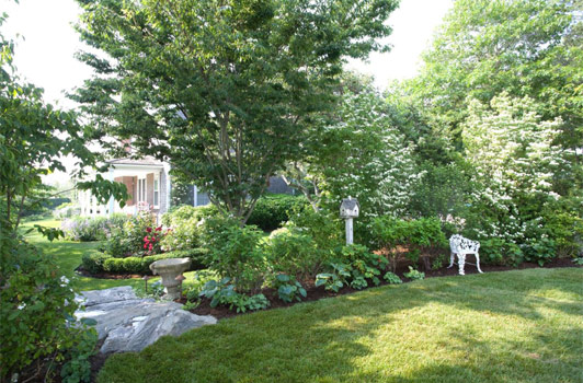 title:Looking south from the guest house private garden area, one sees the granite steps, flanked by Zelkovas, Dogwoods, Hostas, and white Hydrangeas, the rose garden below, and the main house's children wing.